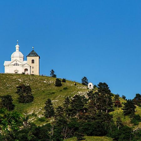 Penzion Terasa Cibulka Mikulov Εξωτερικό φωτογραφία