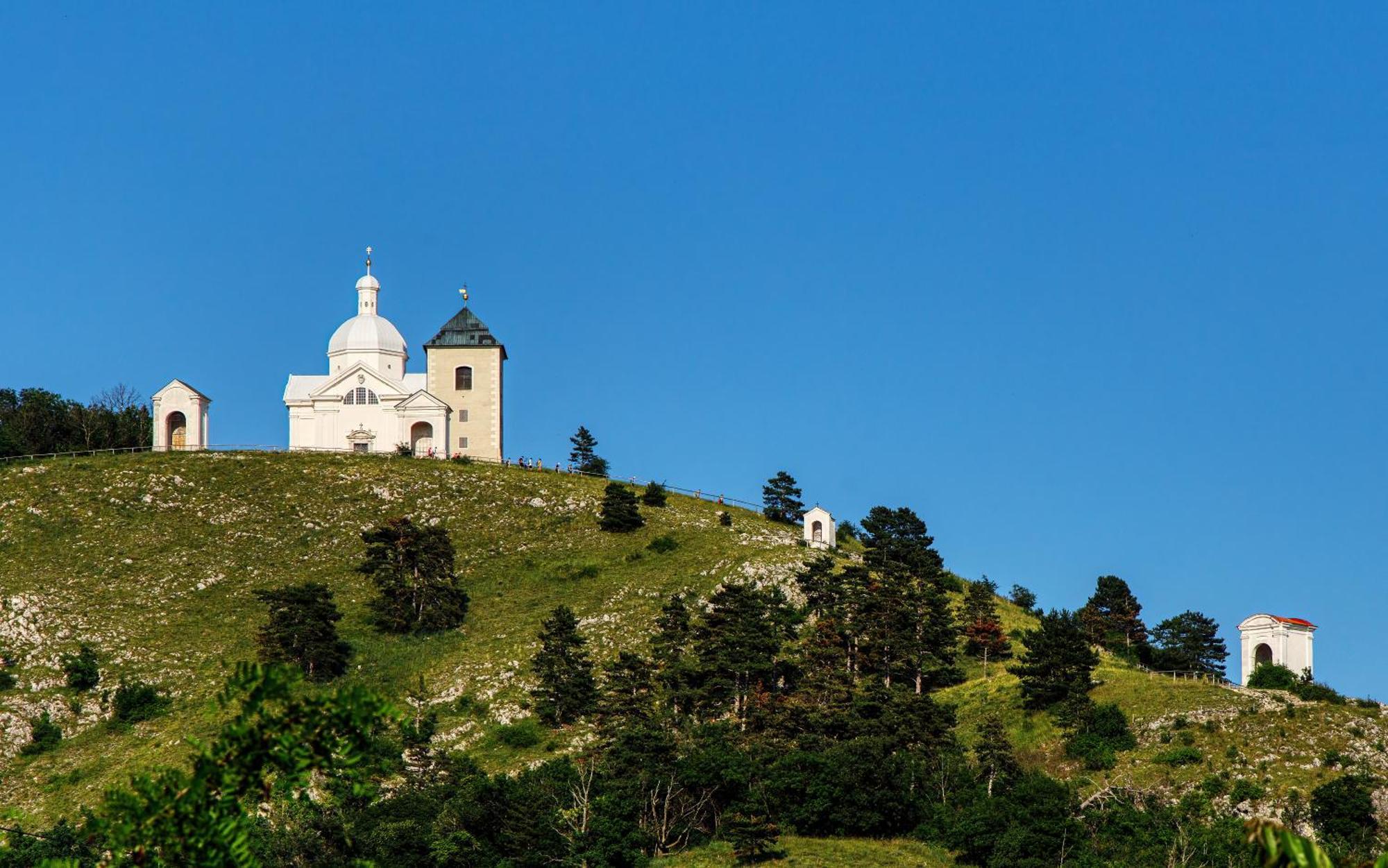 Penzion Terasa Cibulka Mikulov Εξωτερικό φωτογραφία